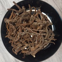 Корінь кульбаби - одуванчика