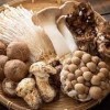 Лікувальні гриби
