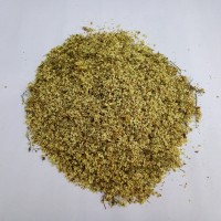 Бузина черная цветки