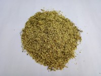 Бузина черная цветки