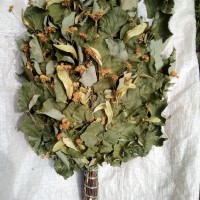 Купить банные веники липовые