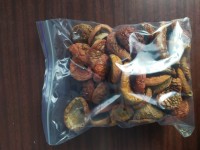 Капелюшки мухоморів вищий сорт
