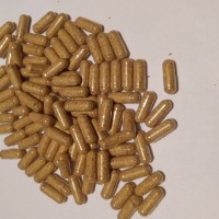 Мухомори в капсулах 0.7г