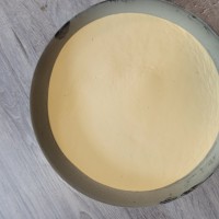 Лікоподій, плавун