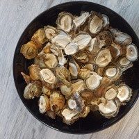 Гриб веселка сушені