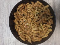 Березові бруньки стиглі